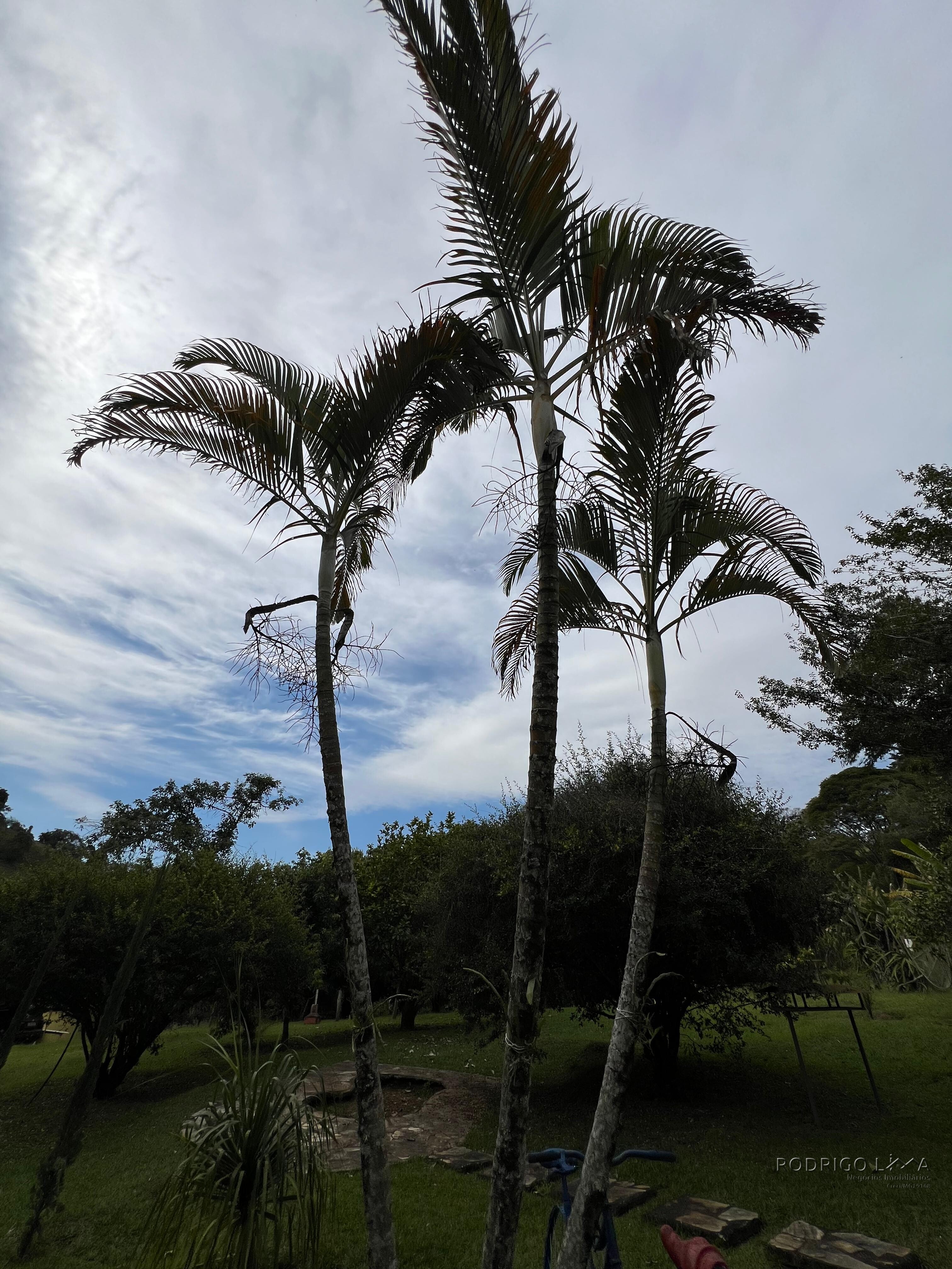 Sítio para venda em Carmo de Minas MG