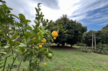 Sítio para venda em Carmo de Minas MG
