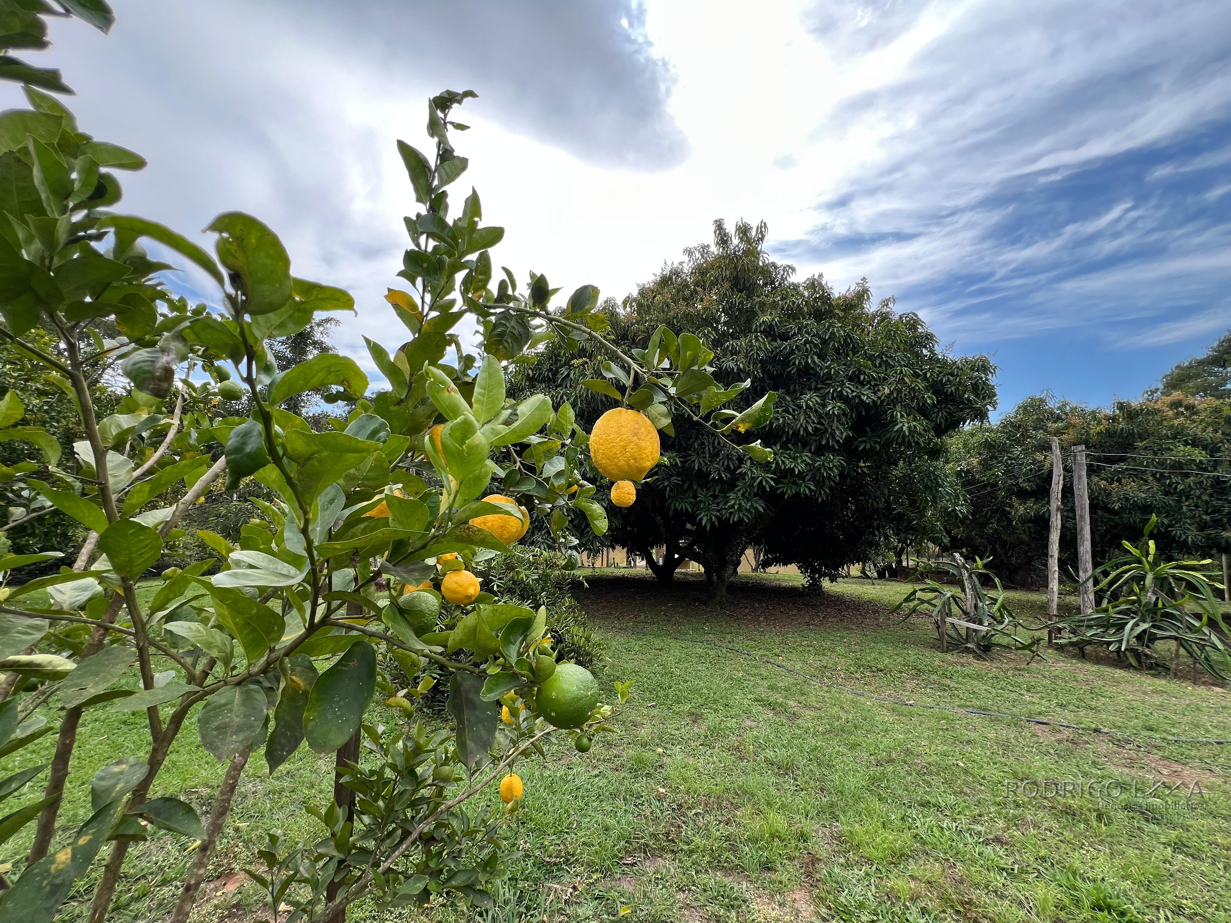 Sítio para venda em Carmo de Minas MG