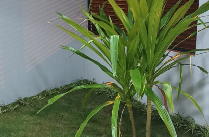 Lindo sobrado de esquina para venda em São Lourenço - MG.