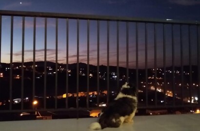 Casa para venda em São Lourenço MG