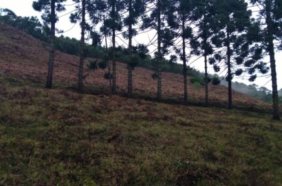 Sítio para venda em Carvalhos MG