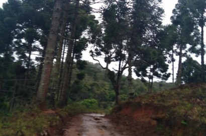 Sítio para venda em Carvalhos MG