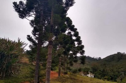 Sítio para venda em Carvalhos MG