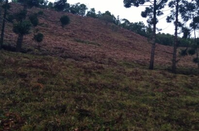 Sítio para venda em Carvalhos MG