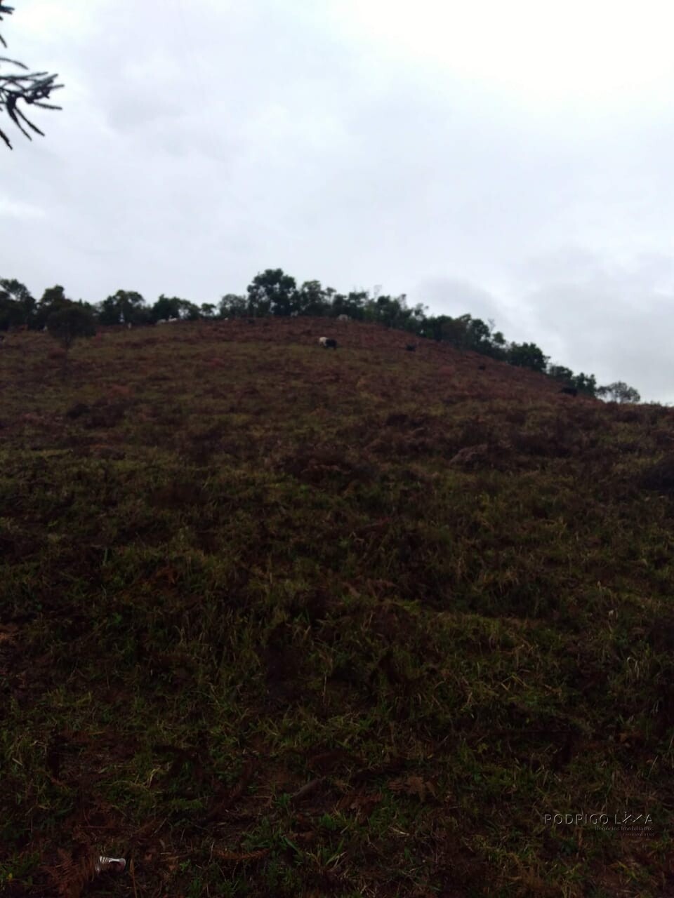 Sítio para venda em Carvalhos MG