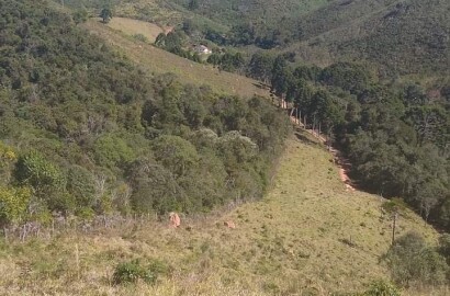 Sítio para venda em Carvalhos MG