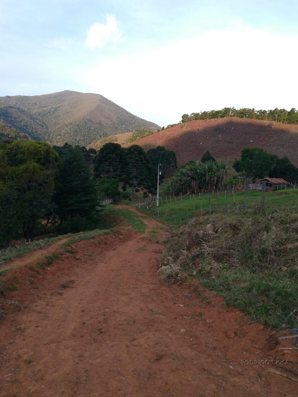 Sítio para venda em Carvalhos MG