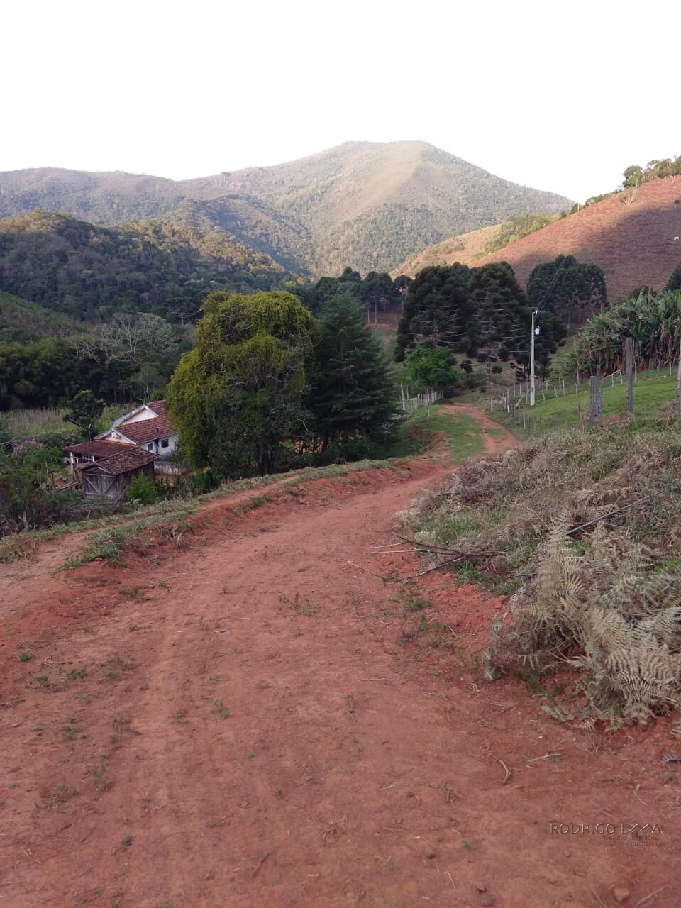Sítio para venda em Carvalhos MG
